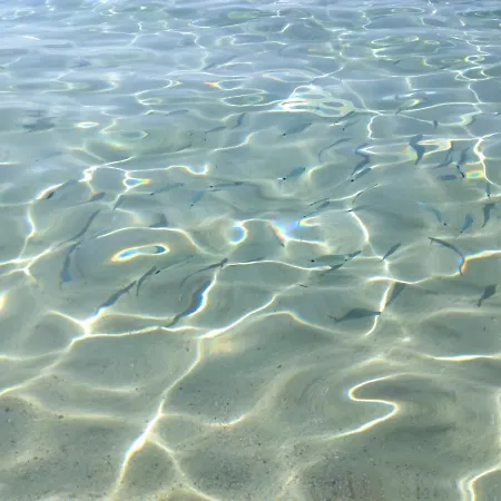 Hébergement de vacances Villetta Kala E Moru Sa Oghe E Su Mare *